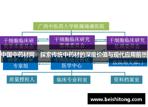 中国中药材网：探索传统中药材的深度价值与现代应用前景